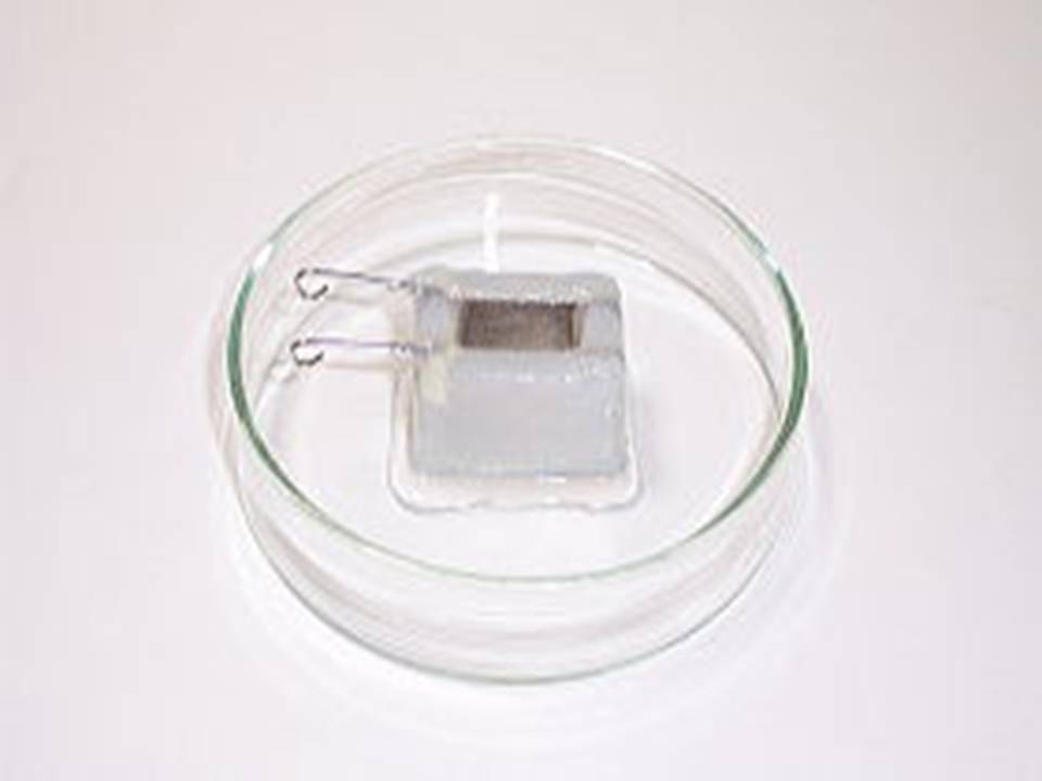 CUY495P10 Electrode